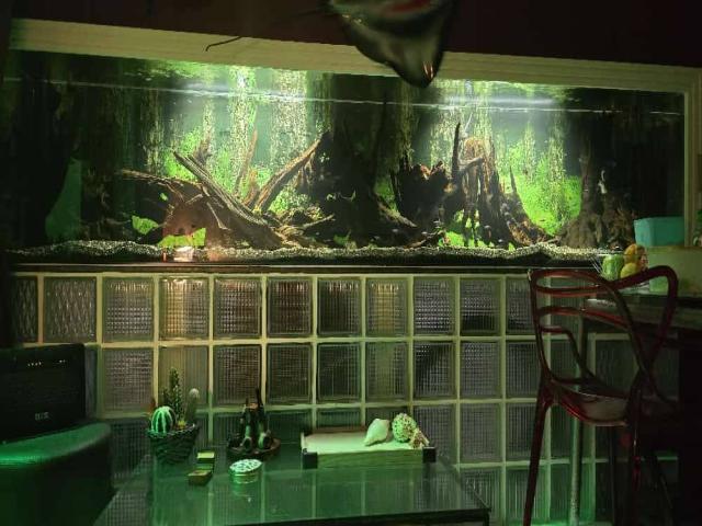#1229 - Apartamento para Venda em Aquiraz - CE - 2